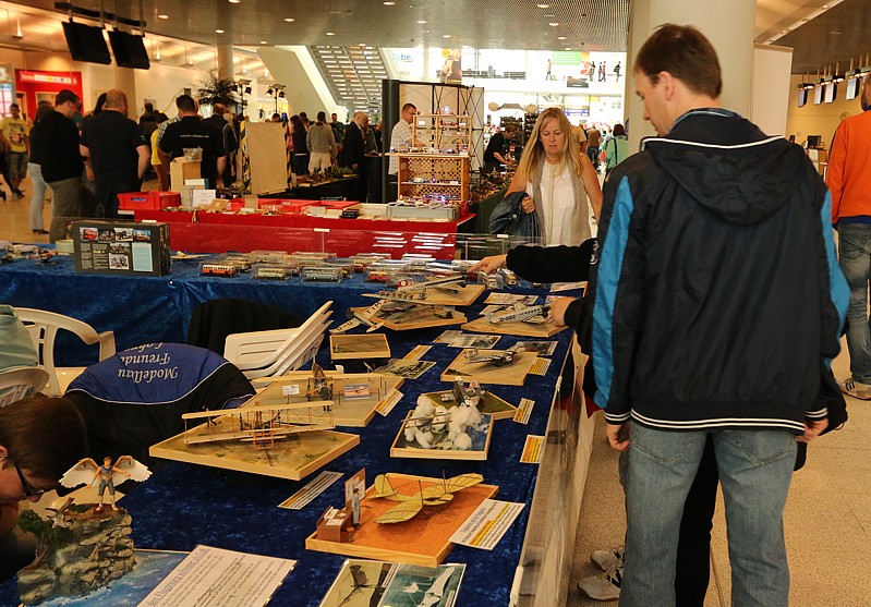 FMO-Modellbautag 2015  013