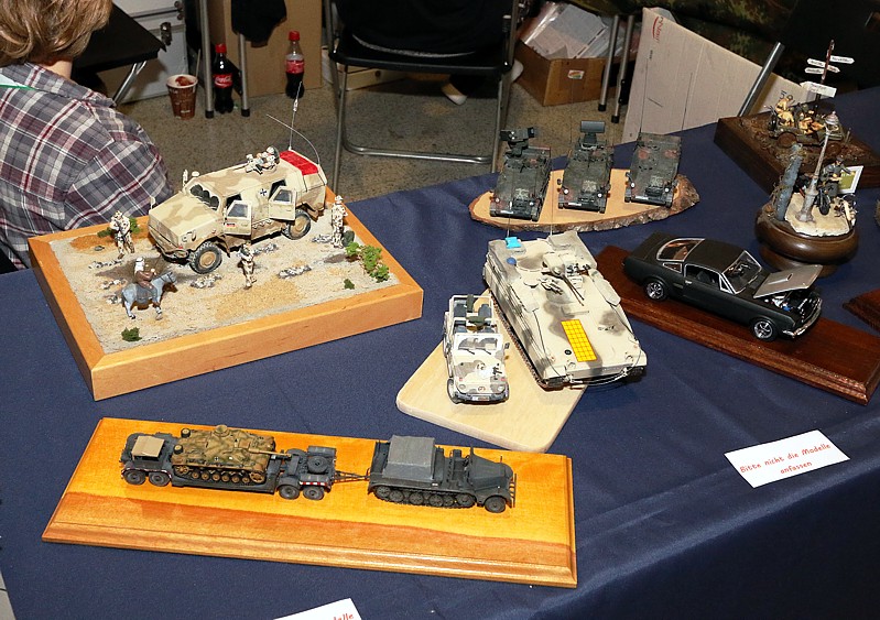 FMO-Modellbautag 2015  034