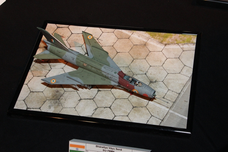 IPMS Nederland 2014 --  ( 67)