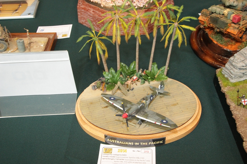 IPMS Nederland 2014 --  ( 96)