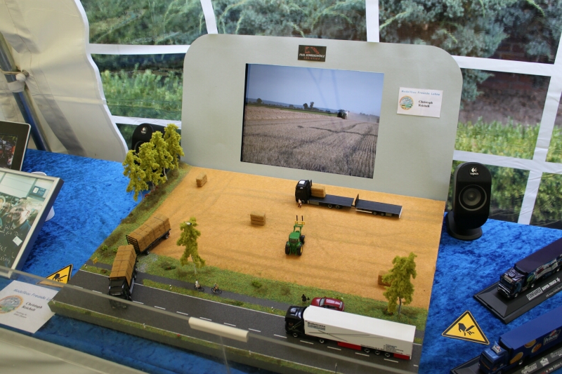 Lohne TT  G.Pille 2012_13