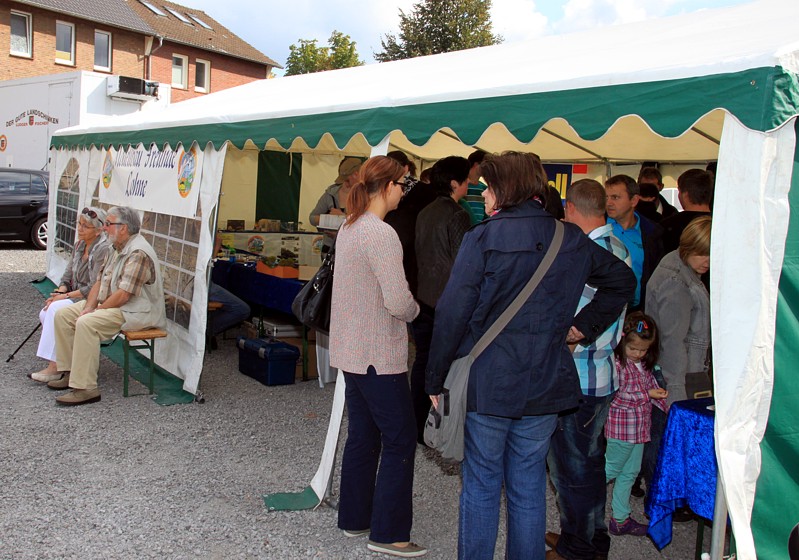 Stadtfest Lohne 2014 -- 001