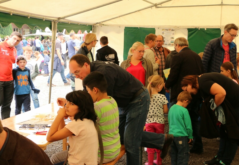 Stadtfest Lohne 2015 (15)