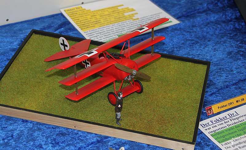 Fliegen wie ein Vogel Modell 09