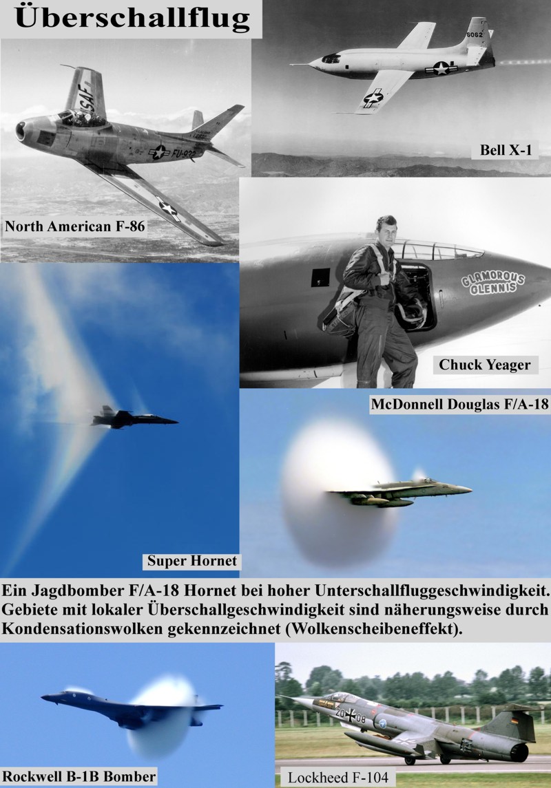 Fliegen wie ein Vogel Modell 31b