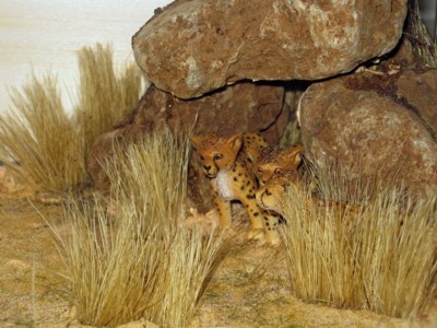 WK-SB-011. 92 WK-SB-011. 92